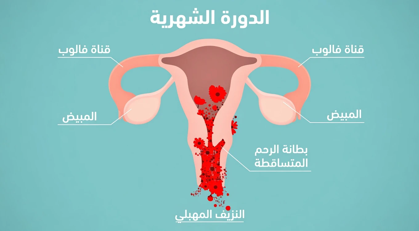 9 علامات إنذار مبكرة لسرطان عنق الرحم تفوتها معظم النساء | أعراض سرطان عنق الرحم