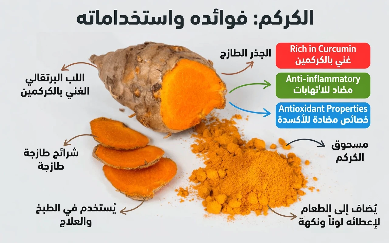11 أطعمة غنية بالعناصر الغذائية قد تدعم صحة الكبد وعمليات إزالة السموم الطبيعية