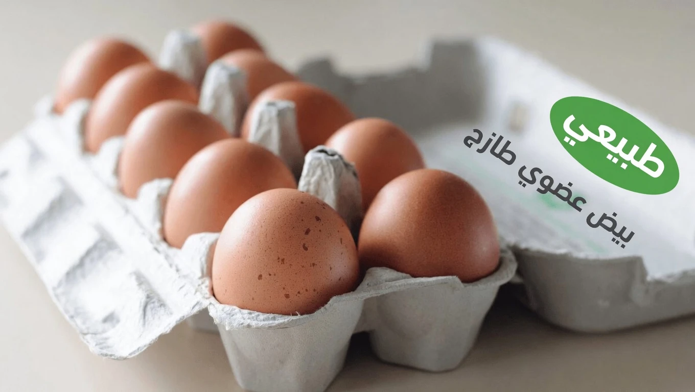 11 أطعمة غنية بالعناصر الغذائية قد تدعم صحة الكبد وعمليات إزالة السموم الطبيعية