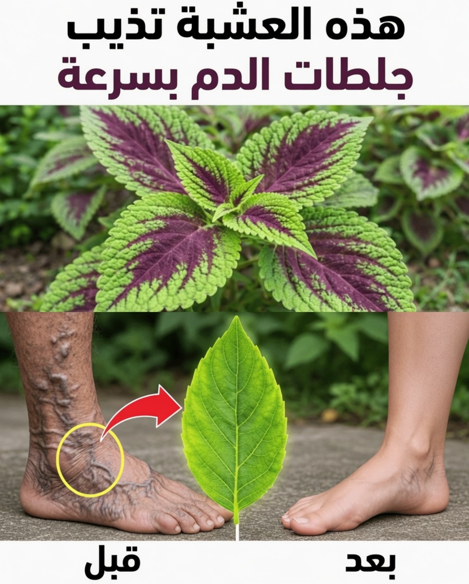 ٦ أعشاب قوية قد تساعد في دعم الدورة الدموية الصحية طبيعياً