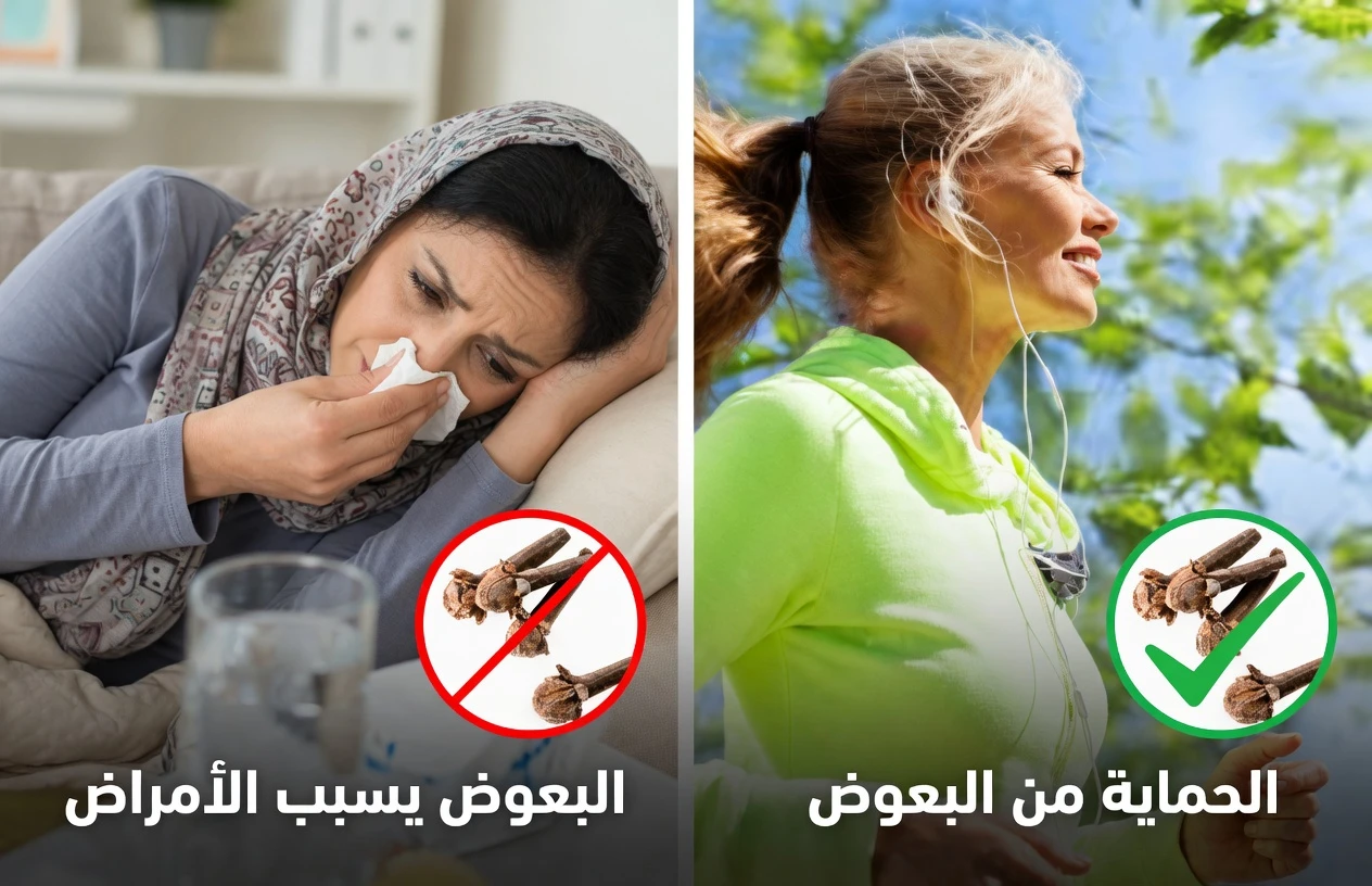 ماذا يحدث عندما تُدرِج فصَّي قرنفل يوميًا في روتينك لمدة أسبوع؟