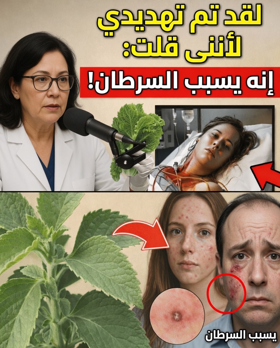 هل تخفي هذه العشبة الشائعة خطراً محتملاً؟ ماذا يقول الخبراء عن ورق البولدو وصحتك