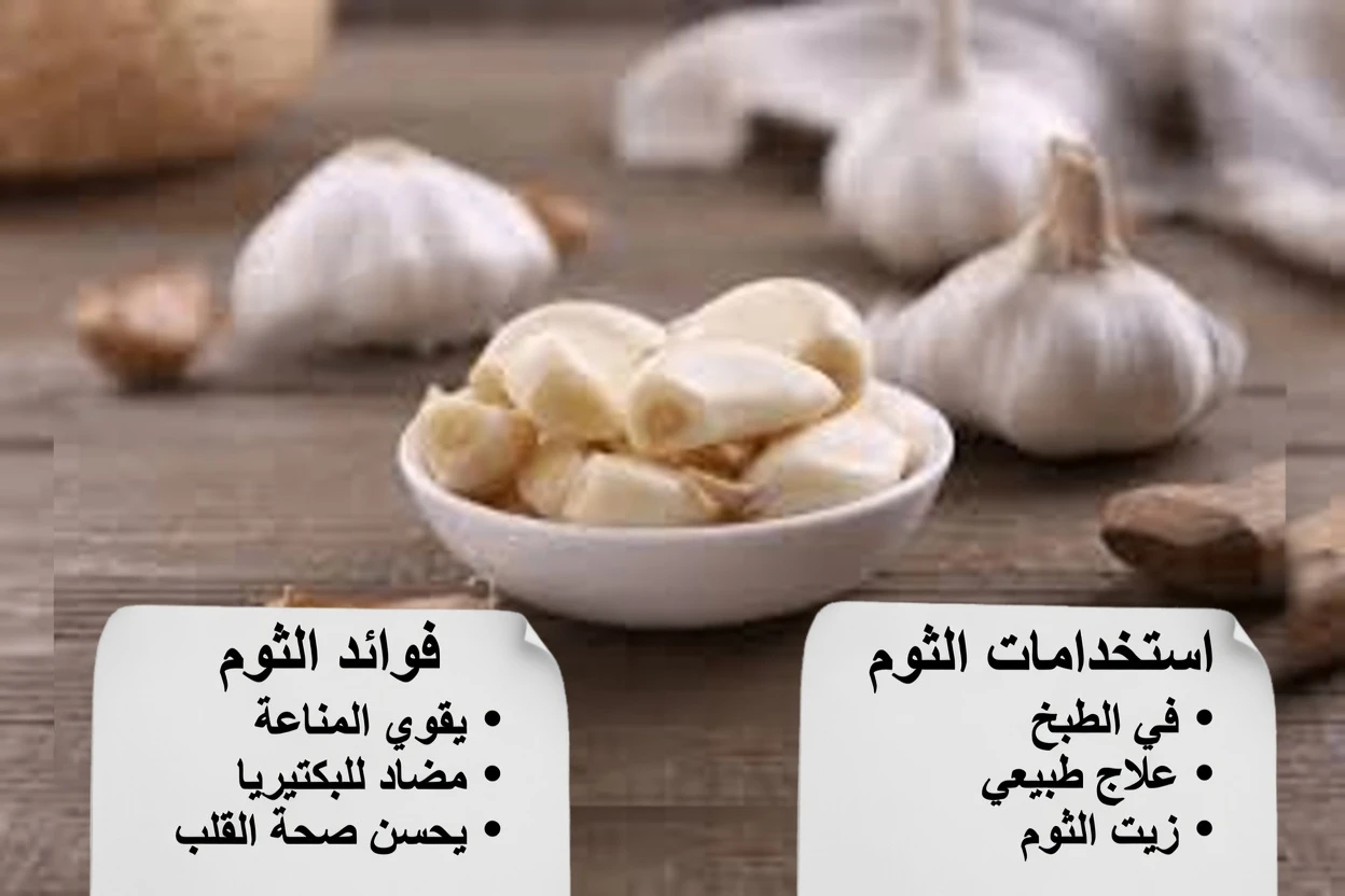 ماذا يحدث لجسمك عندما تأكل فصّين من الثوم النيء يوميًا – فوائد مفاجئة مدعومة علميًا