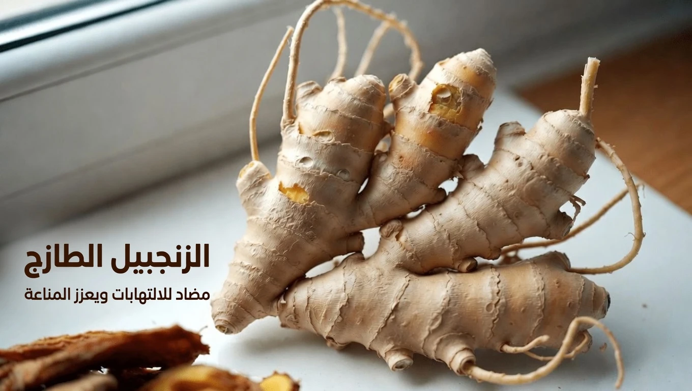 هل الزنجبيل آمن دائمًا؟ أهم الآثار الجانبية والاحتياطات التي يجب أن تعرفها