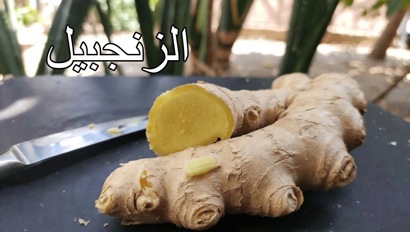 هل الزنجبيل آمن دائمًا؟ أهم الآثار الجانبية والاحتياطات التي يجب أن تعرفها