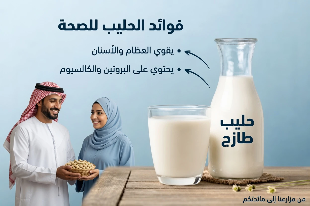الأطعمة والعادات التي قد تُبطئ شفاء قرحة المعدة – ما يجب معرفته