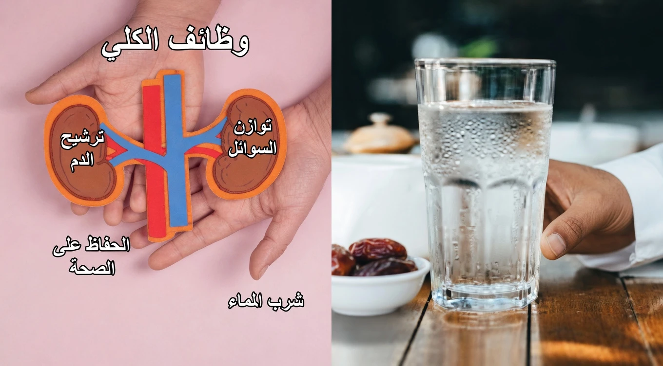 هل يمكن لهذه المشروبات اليومية أن تدعم صحة كليتيك وتساعد في التحكم في البروتين في البول؟