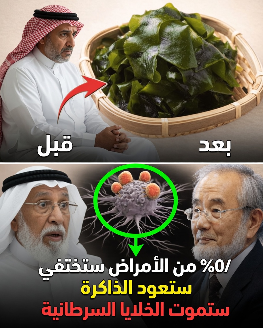 سرّ طول العمر الياباني: كيف يمكن لعادات أوكيناوا أن تدعم الشيخوخة الصحية من خلال الأكل الواعي والعمليات الخلوية الطبيعية