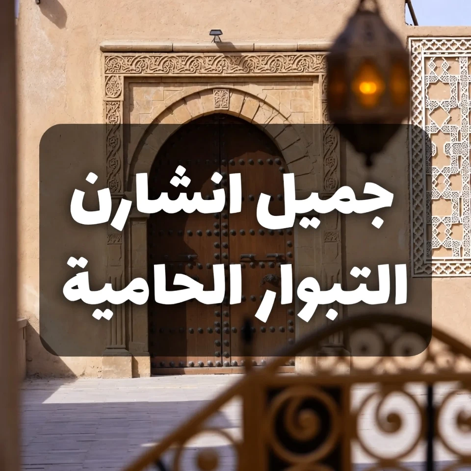 الفوائد القوية للهيل خارج المطبخ: 18 طريقة قد يدعم بها هذا التابل العريق صحتك